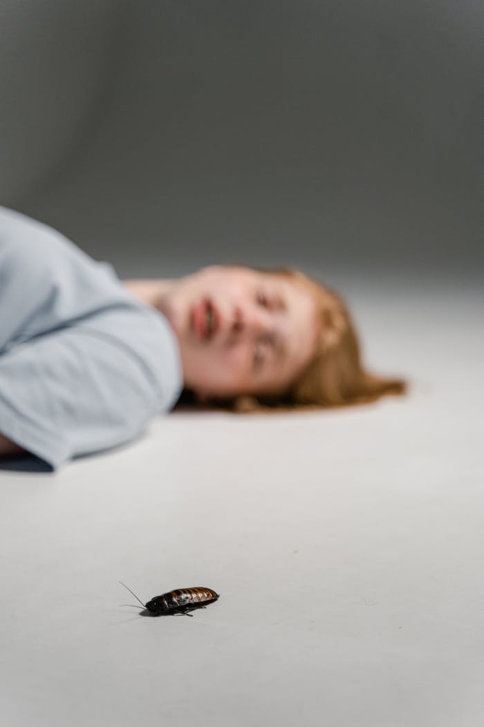 Close-up of a Madagascar hissing cockroach on a smooth surface with a blurred background, depicting focus and depth.